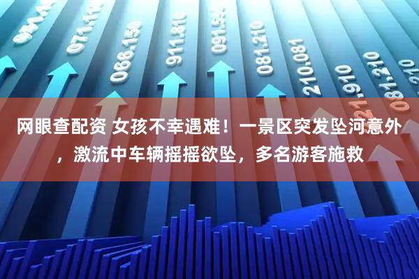 网眼查配资 女孩不幸遇难！一景区突发坠河意外，激流中车辆摇摇欲坠，多名游客施救