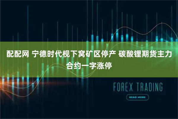 配配网 宁德时代枧下窝矿区停产 碳酸锂期货主力合约一字涨停