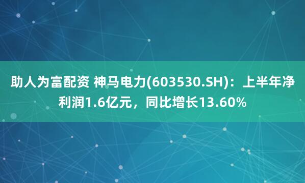 助人为富配资 神马电力(603530.SH)：上半年净利润1.6亿元，同比增长13.60%