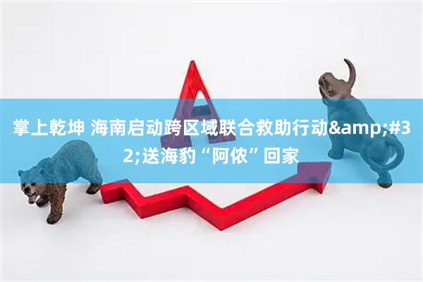掌上乾坤 海南启动跨区域联合救助行动&#32;送海豹“阿侬”回家