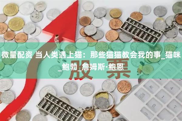 微量配资 当人类遇上猫：那些猫猫教会我的事_猫咪_鲍勃_詹姆斯·鲍恩