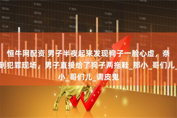 恒牛网配资 男子半夜起来发现狗子一脸心虚，奈何找不到犯罪现场，男子直接给了狗子两拖鞋_那小_哥们儿_调皮鬼