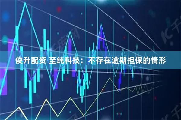 俊升配资 至纯科技：不存在逾期担保的情形