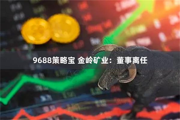 9688策略宝 金岭矿业：董事离任